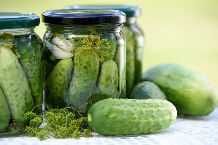 Ile kcal ma 1 ogórek kiszony? | 1 ogórek kiszony kcal
