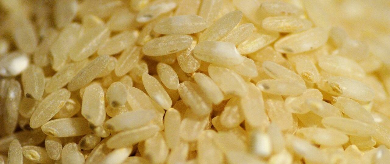 Ile kcal ma 100 g ryżu białego? | 100 g ryżu białego kcal