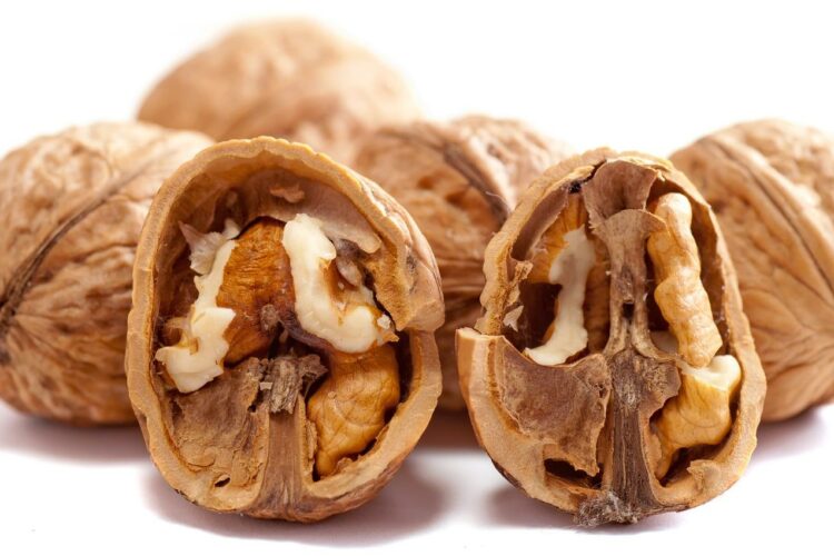 Ile kcal ma bialko? | bialko kcal