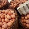 Ile kcal ma białko jaja? | białko jaja kcal