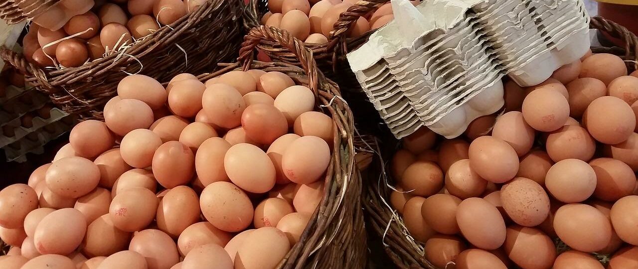 Ile kcal ma białko jaja? | białko jaja kcal