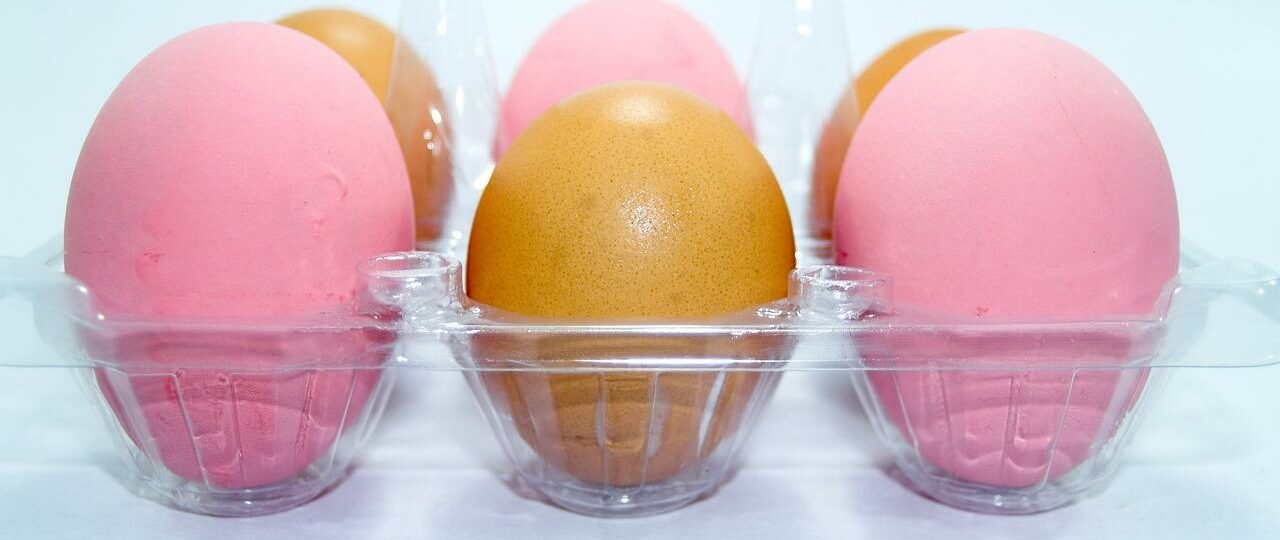 Ile kcal ma białko jajka gotowane? | białko jajka gotowane kcal