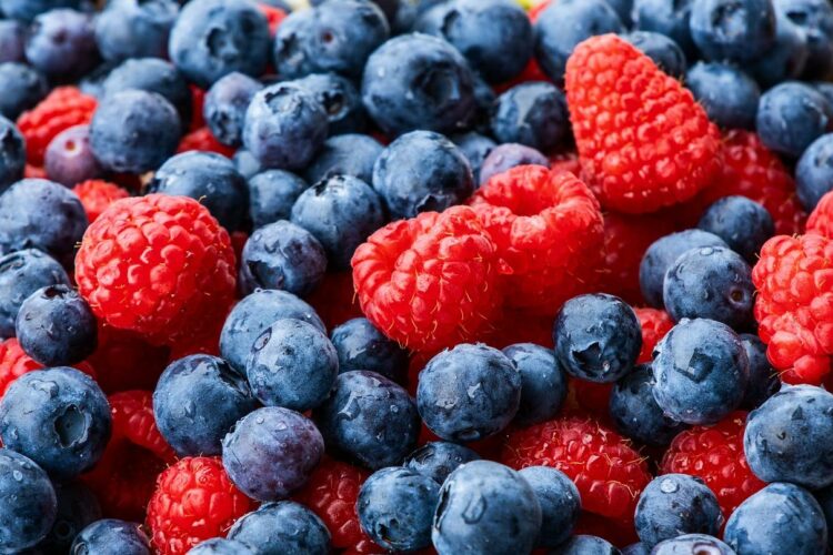 Ile kcal ma borowka amerykanska? | borowka amerykanska kcal