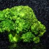 Ile kcal ma brokuł gotowany na parze? | brokuł gotowany na parze kcal