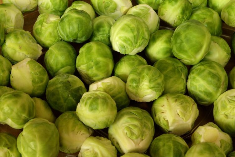 Ile kcal ma brukselka? | brukselka kcal