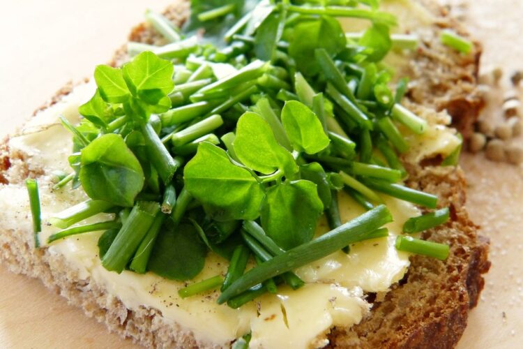 Ile kcal ma chleb z masłem? | chleb z masłem kcal