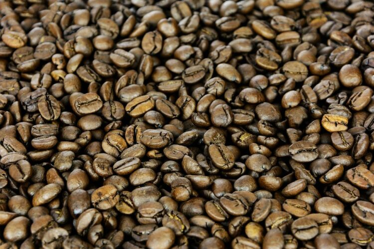 Ile kcal ma fasola gotowana? | fasola gotowana kcal