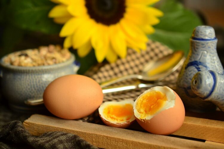 Ile kcal ma gotowane jajko? | gotowane jajko kcal