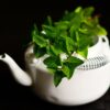 Ile kcal ma herbata miętowa? | herbata miętowa kcal