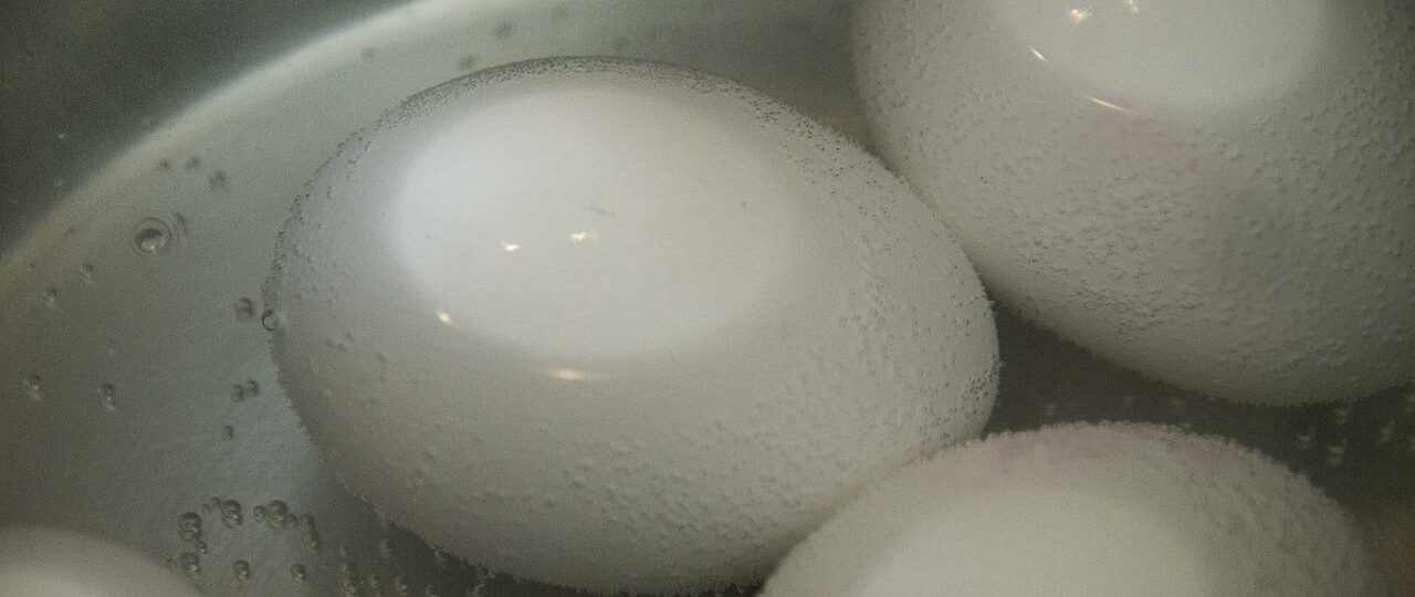 Ile kcal ma jajko gotowane na miękko? | jajko gotowane na miękko kcal