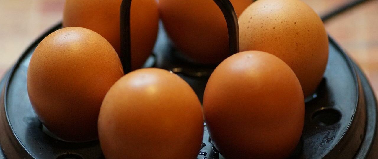 Ile kcal ma jajko ugotowane na twardo? | jajko ugotowane na twardo kcal