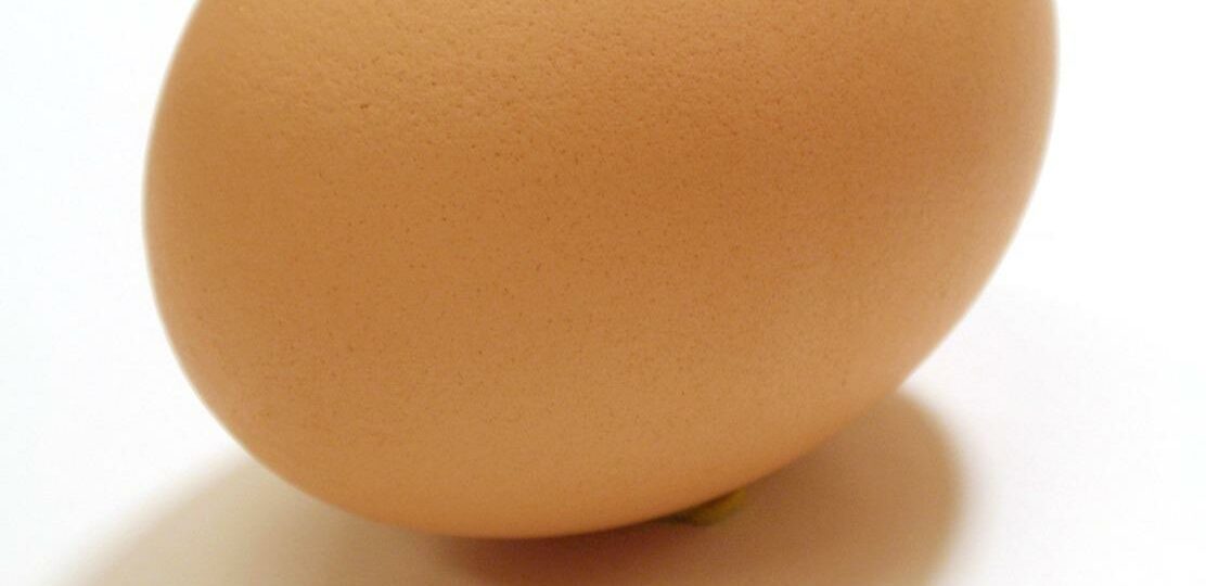 Ile kcal ma jajo na twardo? | jajo na twardo kcal