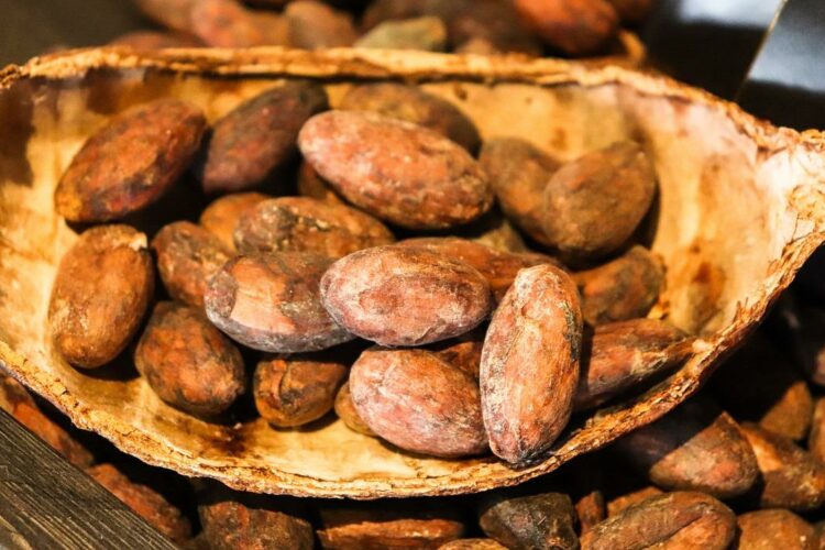 Ile kcal ma kakao? | kakao kcal