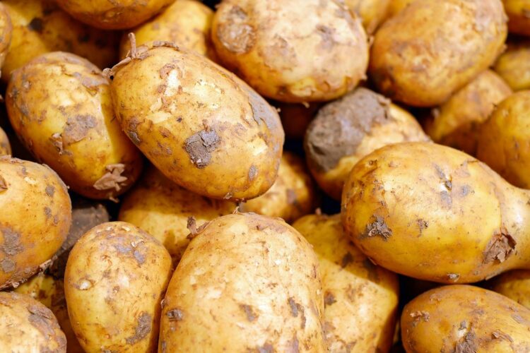 Ile kcal ma kartofel? | kartofel kcal