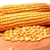 Ile kcal ma kolba kukurydzy? | kolba kukurydzy kcal
