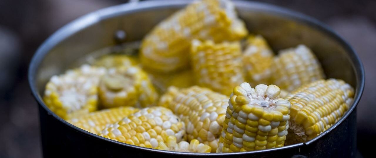 Ile kcal ma kukurydza gotowana? | kukurydza gotowana kcal