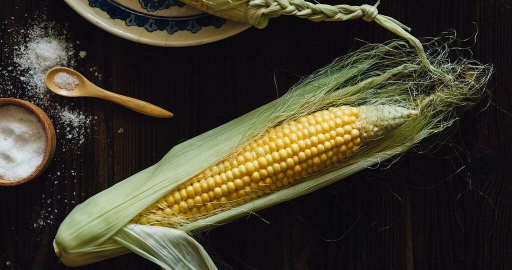 Ile kcal ma kukurydza kolba? | kukurydza kolba kcal