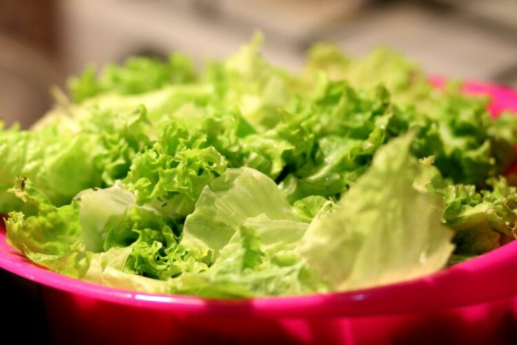 Ile kcal ma listek sałaty? | listek sałaty kcal