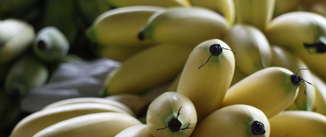 Ile kcal ma mały banan? | mały banan kcal