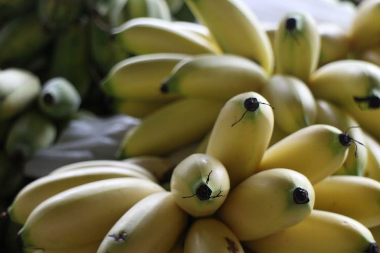 Ile kcal ma mały banan? | mały banan kcal