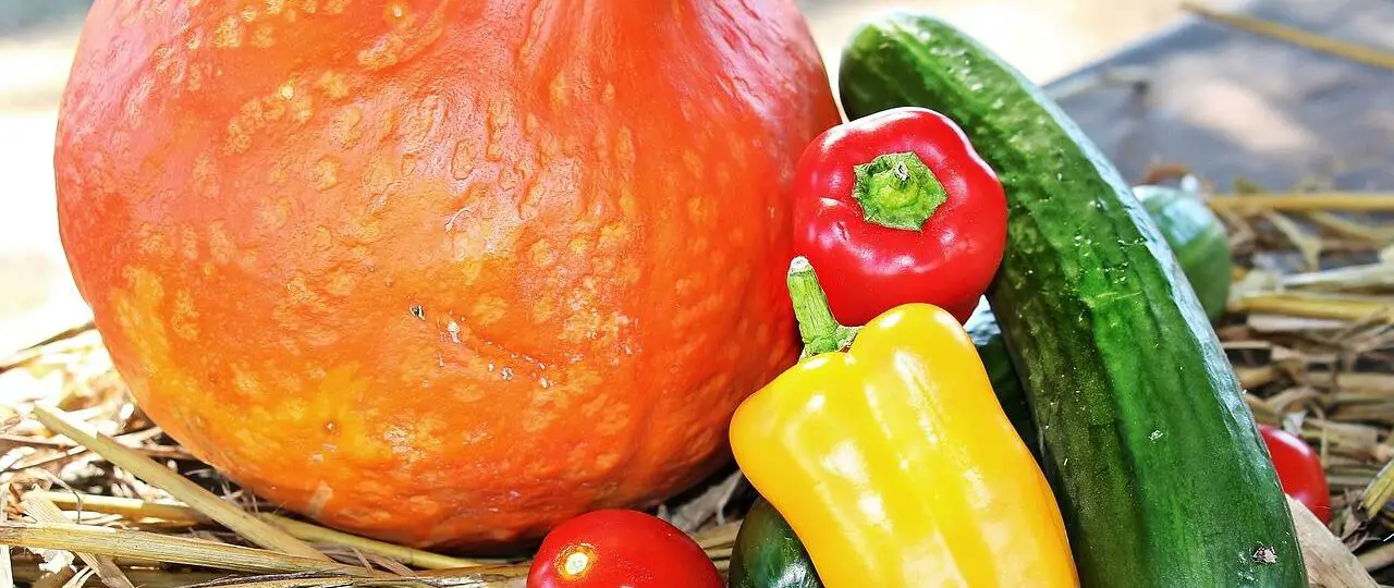 Ile kcal ma pomidor i ogórek? | pomidor i ogórek kcal