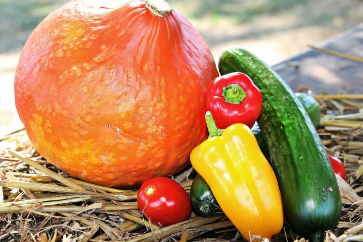 Ile kcal ma pomidor i ogórek? | pomidor i ogórek kcal