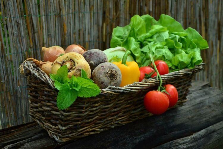 Ile kcal ma salatka jarzynowa? | salatka jarzynowa kcal