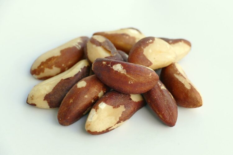 Ile kcal mają orzechy brazylijskie? | orzechy brazylijskie kcal
